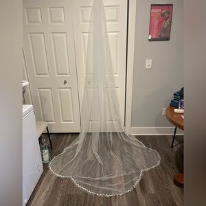Azazie Wedding Veil Vine and Pearl Trim